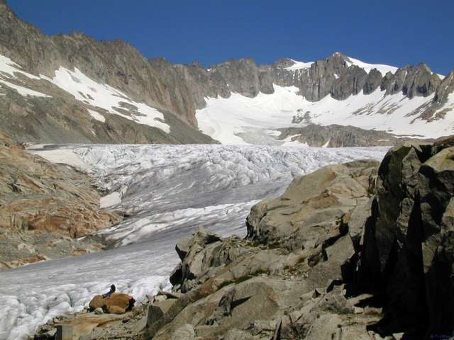 Oberland Bernois - Glacier du Rhône